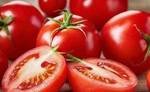 娱乐吃瓜酱西红柿